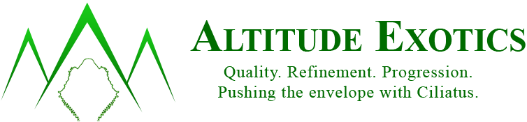 Altitude Exotics