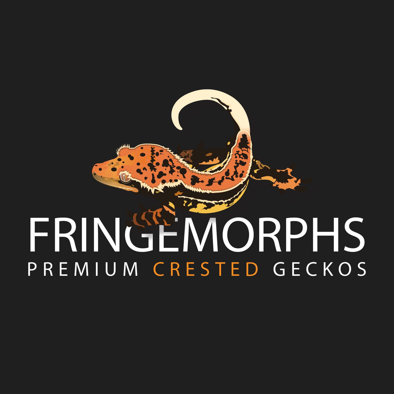Fringemorphs